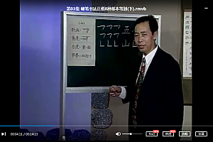 庞中华硬笔书法视频教学教你练好字视频课程10讲百度云网盘下载学习