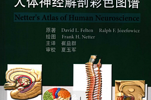 奈特人体神经解剖彩色图谱2006电子书pdf百度云网盘下载学习