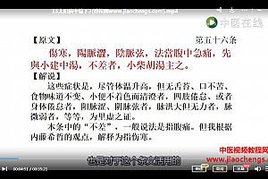 王宁元汉方医家解读伤寒论系列视频课程33集百度网盘下载学习