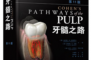 2022年关卿《牙髓之路》视频课程9期+牙髓之路十一版电子书pdf百度网盘下载学习