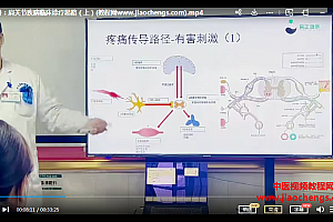 滕康学院刘松涛肩关节精准诊疗视频课程22集百度网盘下载学习