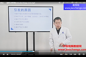 杨树安杨氏人体失衡疗法视频课程22集百度网盘下载学习