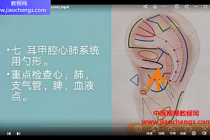 张福旺精讲耳穴诊断班视频课程24集百度网盘下载学习