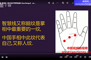 无为子掌纹学掌纹手木目的运势密码视频课程22集百度网盘下载学习
