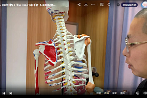 筋膜释放术解剖列车意大利FM手法演示视频课程97集百度网盘下载学习