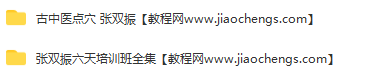 张双振古中医指针点穴六天培训班录像视频教程百度云网盘下载学习中医正骨视频