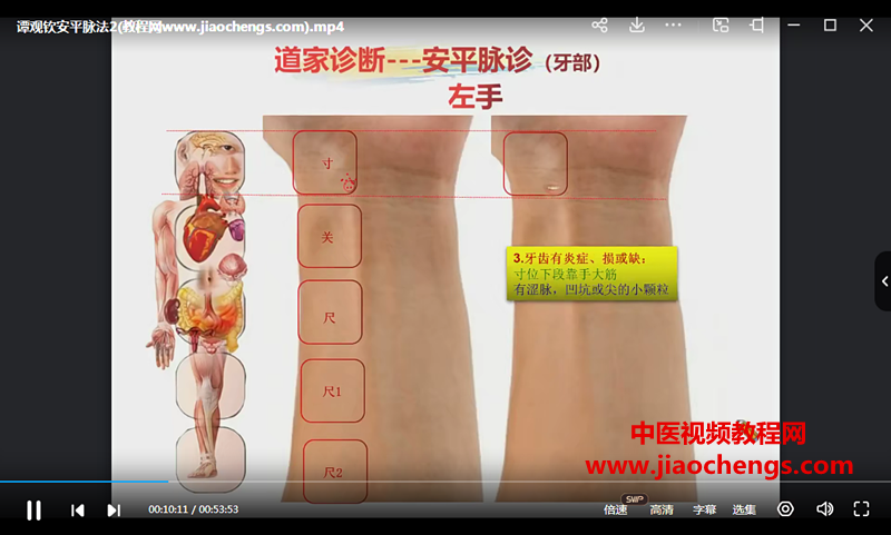 谭观钦道家安平脉法视频课程5集脉诊教程百度网盘下载学习