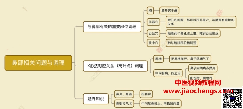 王奇岩从头到脚的病症调理视频课程15集百度网盘下载学习