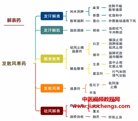 中医考研思维导图8本电子书pdf百度网盘下载学习