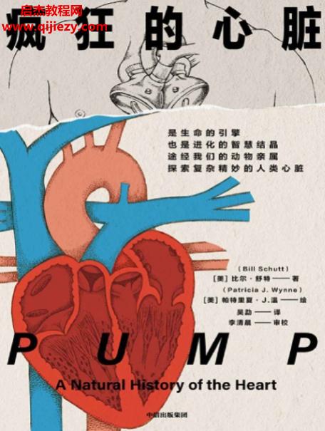 (美)比尔舒特著疯狂的心脏.png