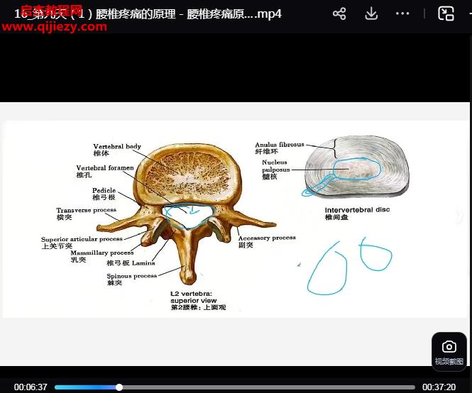 孟令培非遗六壬整脊特训营.png