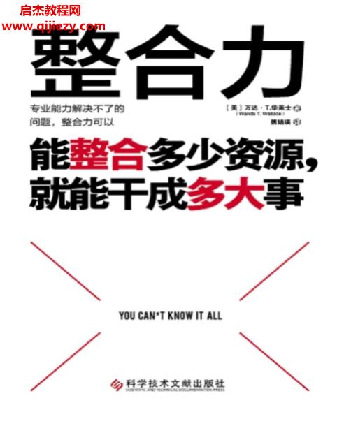 (美)万达T华莱士著整合力.png