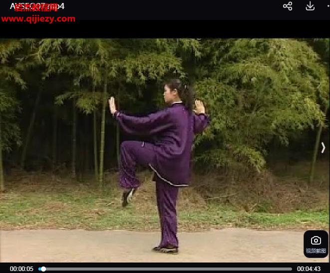 杨艳杨式103式太极拳.png