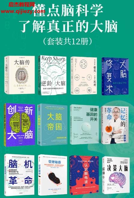 懂点脑科学了解真正的大脑.png