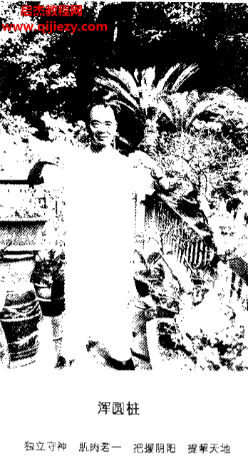 王安平著修真心语.png