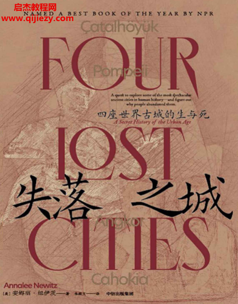 (美)安娜丽纽伊茨著失落之城.png