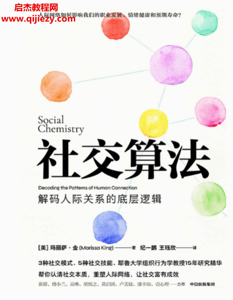 (美)玛丽萨金著社交算法.png