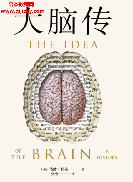 (英)马修科布著大脑传.png