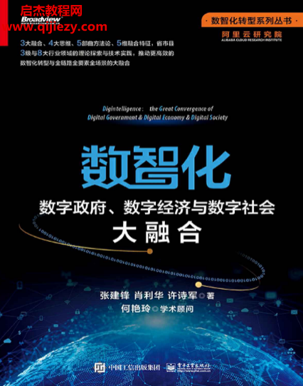 张建锋著数智化数字政府数字经济与数字社会大融合.png