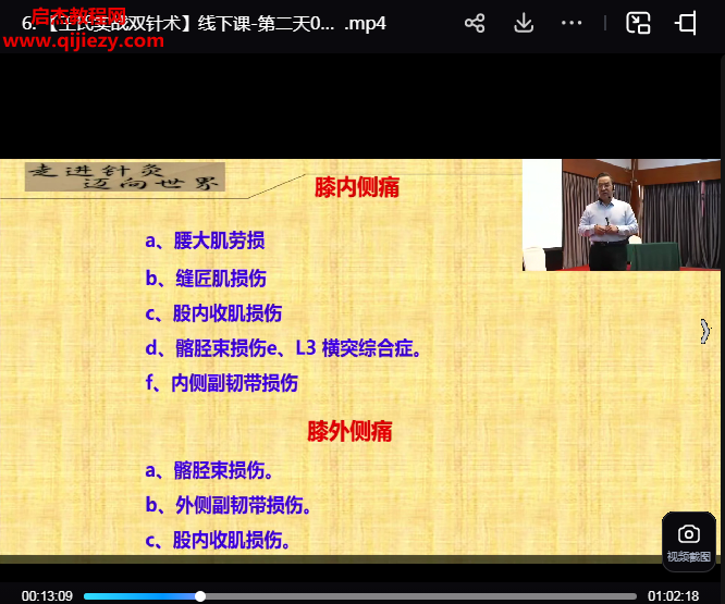王连彬王氏实战双针术.png
