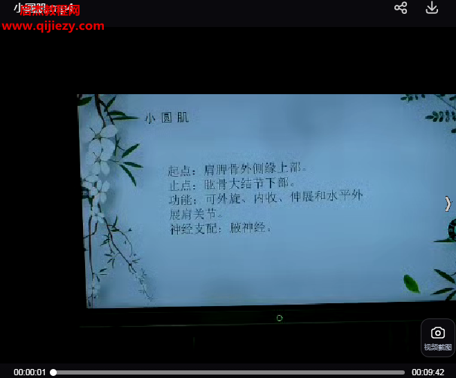 九星肌肉筋膜处方精华课上肢疼痛.png