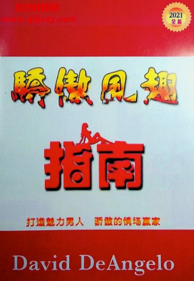 大卫迪安杰罗著骄傲风趣指南.png