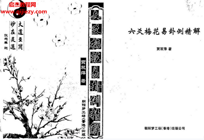 贾双萍著六爻梅花易卦例精解.png