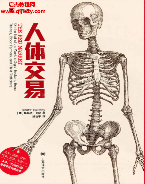 (美)斯科特卡尼著人体交易.png (美)斯科特卡尼著人体交易.png
