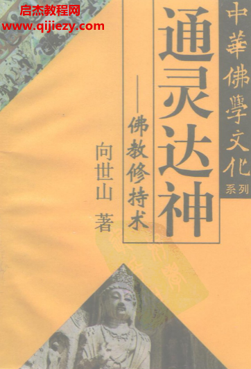 向世山著通灵达神佛教修持术.png