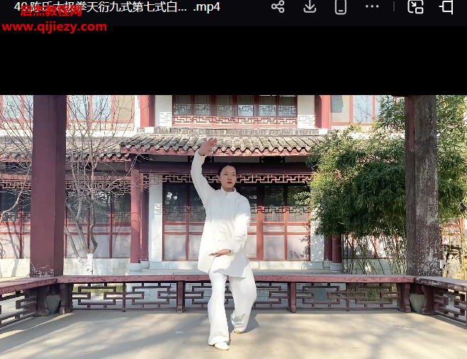 沅芷太极缠丝练气修真秘术.png