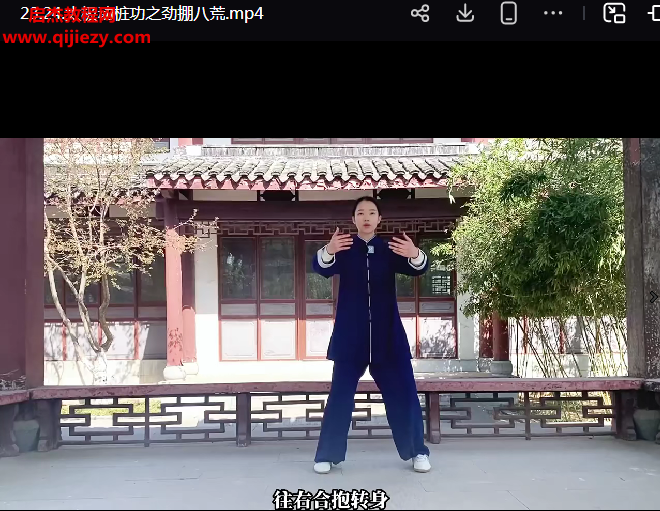 沅芷九转太极劲.png 沅芷九转太极劲.png