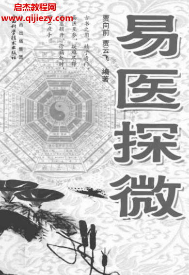 贾向前贾云飞著易医探微.png