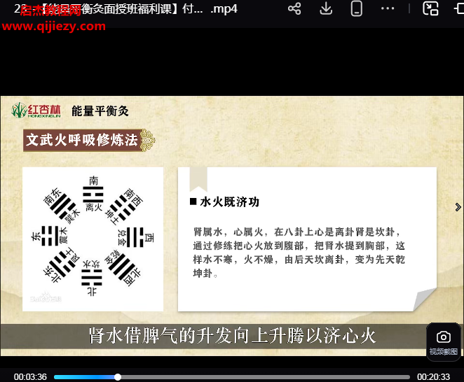 红杏林付子康能量平衡灸线上高级9班.png