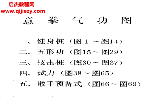 王安平著意拳气功.png