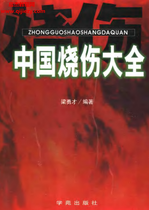 中国烧伤大全.png 中国烧伤大全.png