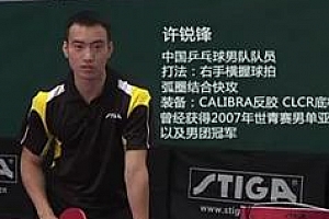 乒乓球国家队许锐锋教学_国手许锐锋横板乒乓球教学视频合集百度云网盘免费下载观看