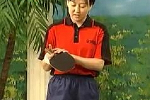 《学打乒乓球4集全》乒乓球入门基本功_赵霞教打乒乓球的技巧百度云网盘免费下载