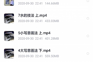 王中年山水画技法视频教程百度网盘免费下载
