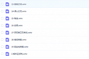 丹麦黄晓春传承班中医体系讲课视频25集马氏温灸针灸百度网盘