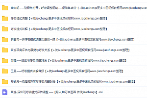 苗振胡春雨丁赵模式紊乱的原因诊断调整预防曹维动态呼吸百度网盘下载