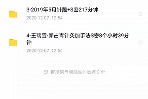 王瑞雪汉传针雕2020视频教程私密美容骨盆修复汉传针雕特训营闭月羞花沉鱼出塞针百度网盘免费下载
