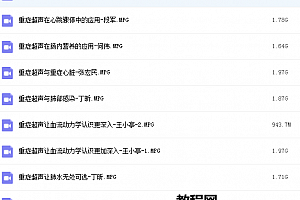 成都重症超声进阶班视频教程理论培训及现场操作演示65集视频61G百度网盘下载学习