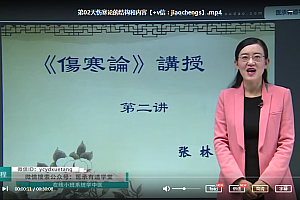 医承有道学堂张林伤寒论24天精讲营讲透伤寒会用经方视频课程百度云网盘下载学习中医视频