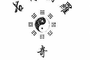 古传独罗术壮阳术男子洗髓班洗髓驻颜高级研习班13集视频教程百度云网盘下载学习