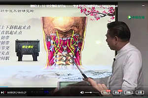 刘国轩中医炁针疗法视频课程合集中医古炁针气化针法基础和肩胸椎腰中风偏瘫临床实战教学课程百度云网盘下载学习