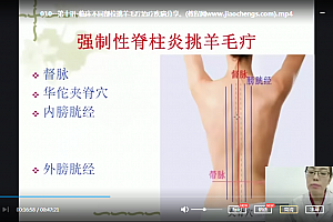 2021年孙利群民间中医绝技疗法挑羊毛疔10讲高清视频课程百度云网盘下载学习