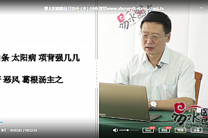 2021年杨思远伤寒论太阳篇讲课高清视频41集百度云网盘下载学习中医伤寒论视频教程