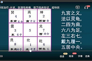 关银新九宫治痛术超特效治疗片状你慢性疼痛视频课程百度云网盘下载学习中医治痛手法视频课程