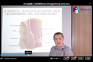 2021年脊近完美陈实精讲女性盆底生理解剖14集视频课程百度云网盘下载学习