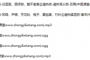 2020年白丁中医私房班录音课程46集白丁说中医新冠肺炎特点及处方百度云网盘下载学习